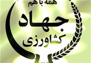 انتقال زنان شاغل به محل سکونت خود