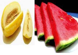 پایان برداشت محصولات جالیزی در مازندران