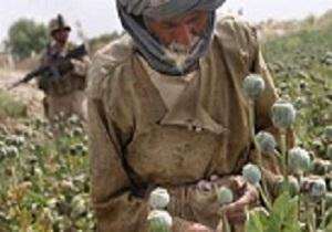 کشف حدودیک کیلوگرم تریاک از معده 3قاچاقچی