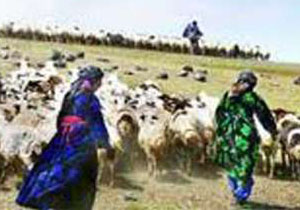 توزیع 700 دستگاه پنل خورشیدی بین عشایر کهگیلویه و بویراحمد