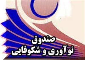 سهم 49 درصدی صندوق نوآوری و شکوفایی برای راه اندازی صندوق‌های خطر پذیر