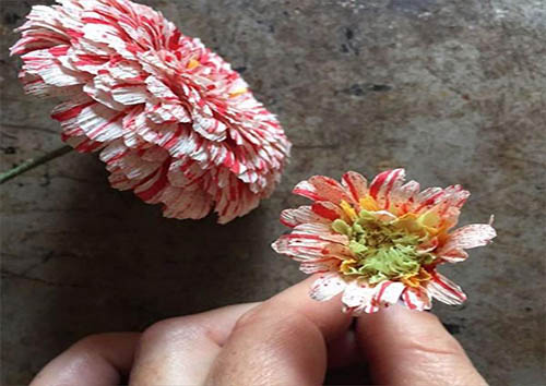 هنرمندی که با کاغذ معجزه می&zwnj;کند + تصاویر