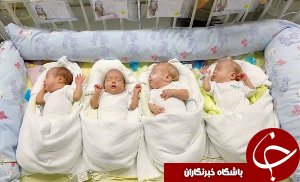 تولد 4قلوها در تالش