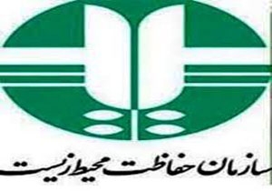 نجات پرنده در حال انقراض از مرگ توسط پلیس وظیفه شناس ایلامی