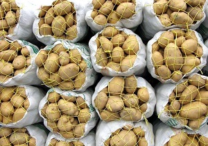 صادرات بیش از 7 هزار تن سیب زمینی به جمهوری آذربایجان