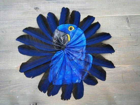 نقاشی بر روی پر پرندگان + عکس