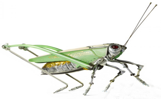 بی خطر ترین حشرات دنیا+ تصاویر