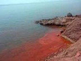 اجرای دو طرح گردشگری در جزیره هرمز