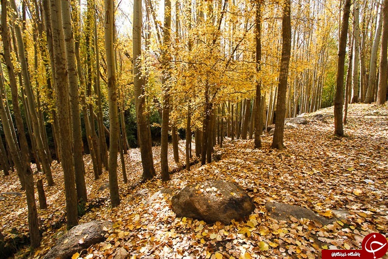 طبیعت زیبای پاییزی همدان + تصاویر
