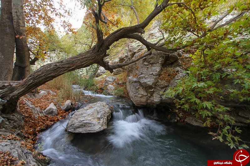 طبیعت زیبای پاییزی همدان + تصاویر