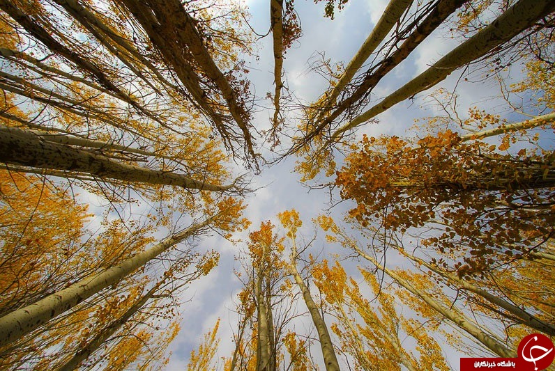 طبیعت زیبای پاییزی همدان + تصاویر