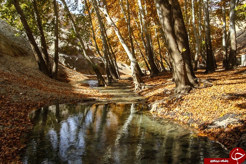 طبیعت زیبای پاییزی همدان + تصاویر