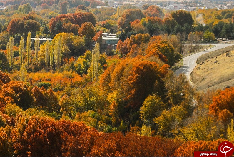 طبیعت زیبای پاییزی همدان + تصاویر