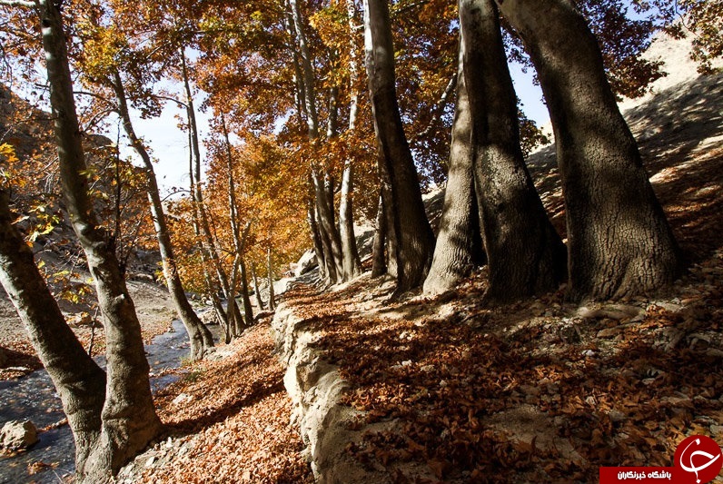 طبیعت زیبای پاییزی همدان + تصاویر
