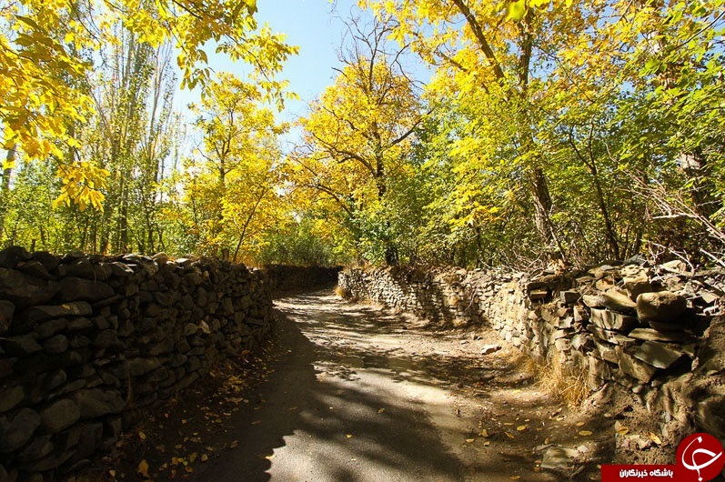 طبیعت زیبای پاییزی همدان + تصاویر