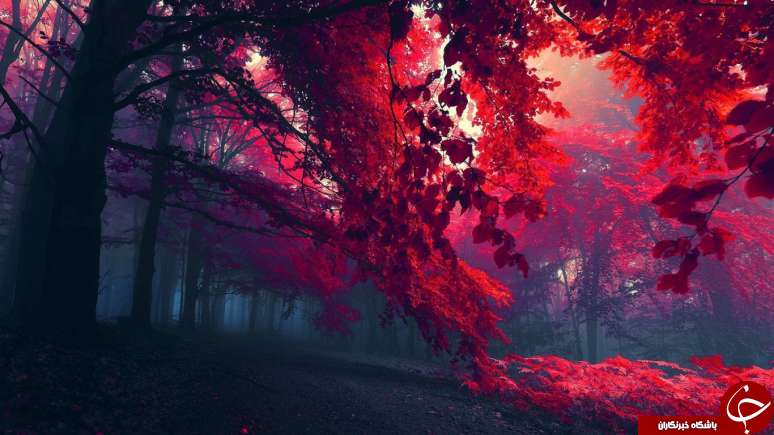 تصویر پیش زمینه با حال و هوای پاییزی + دانلود