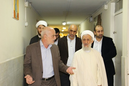 محسنی