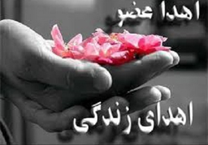 معلم کهگیلویه و بویراحمدی ناجی پنج بیمار شد