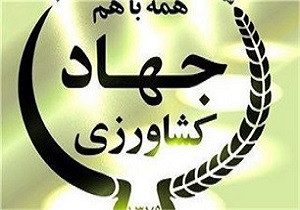 انتخاب اردبیل به عنوان استان پایلوت در اجرای طرح نوین آموزش کشاورزی کشور