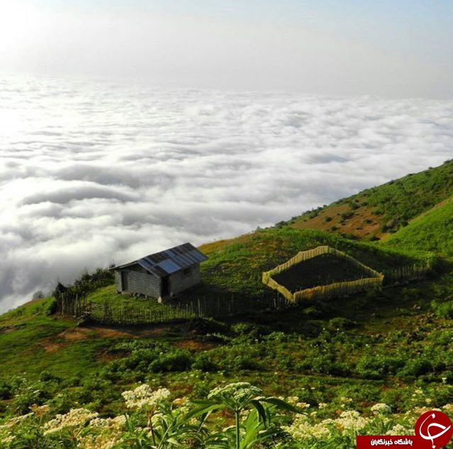 تصویر زیبا از جاده هالیدشت استان گیلان