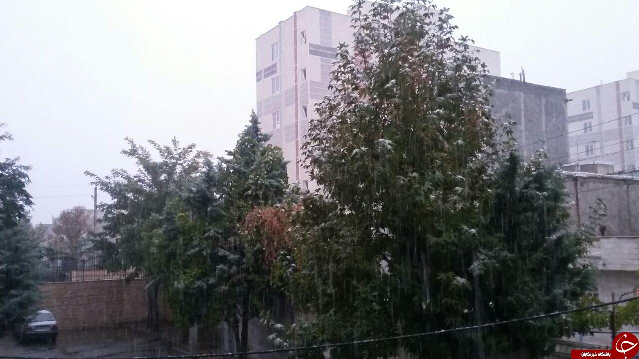 برف پاییزی ایران را سفید کرد