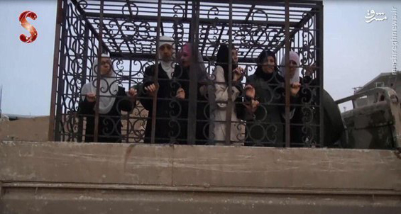 تبریک القاعده به اردوغان+تصویر