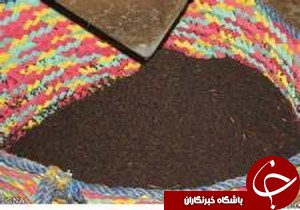 کشف چای خشک سنواتی غیر قابل مصرف در آستارا