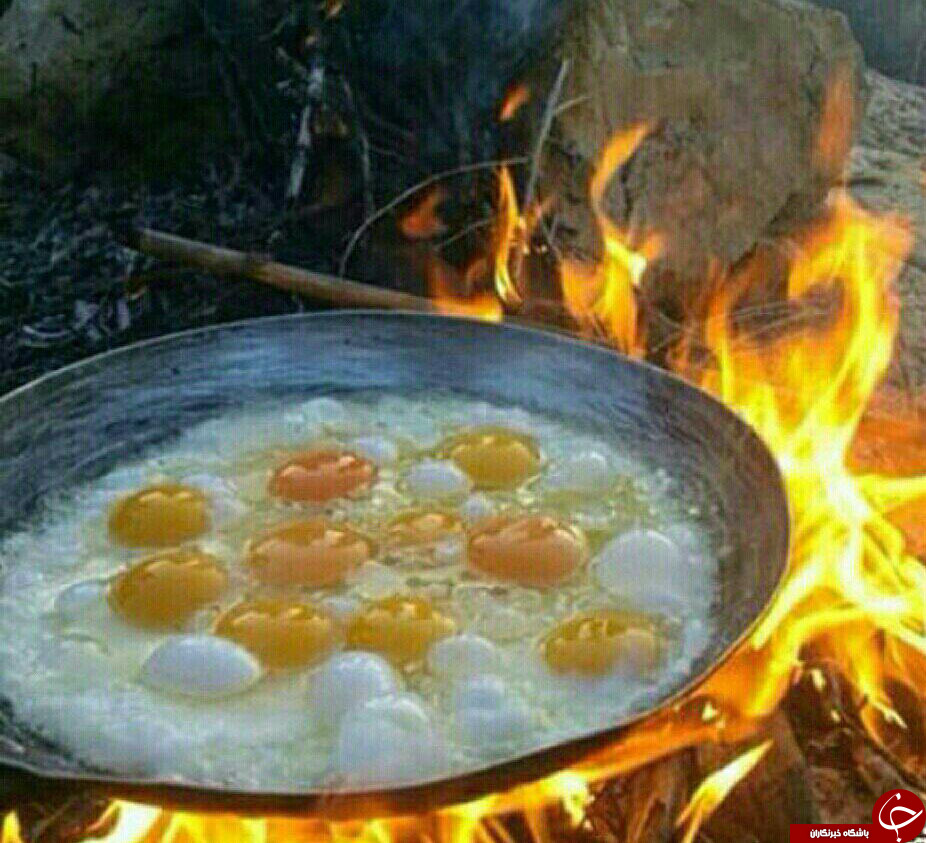 عکس هایی که بوی زندگی می دهند