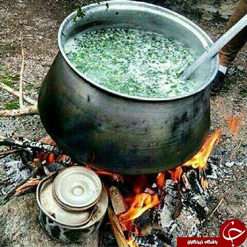 عکس هایی که بوی زندگی می دهند