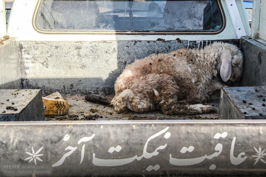 سایه ابوبکر بغدادی بر وزیر ایرانی! + عکس