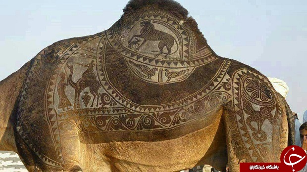 بزگترین فستیوال های جهان +تصاویر