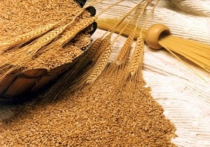 مجوز واردات گندم شش ماهه اول سال جاری منتشر شد