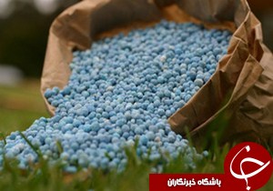 کشف 8 تن کود قاچاق در گیلان