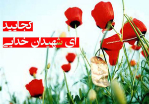 برگزاری یادواره شهدای شهرستان لردگان