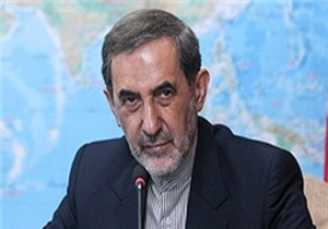 بحران سوریه راه حل نظامی ندارد/ بیگانگان نباید در مشکلات کشورهای منطقه دخالت کنند