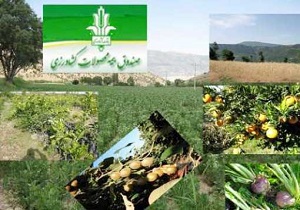 کشاورزان اردبیلی 400 میلیارد ریال غرامت گرفتند