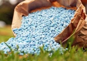 توجه به مصرف کود آلی راهکاری برای کاهش مصرف کودهای شیمیایی