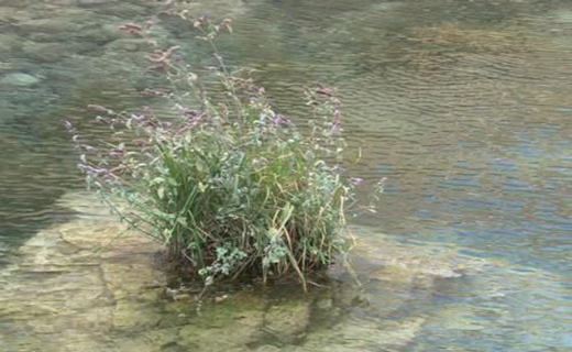 &laquo;ازناو&raquo; جاذبه&zwnj;ای گردشگری از استان سراسر زیبای اردبیل