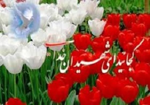 برگزاری یادآوره شهدای آبان و آذر ماه در قزوین