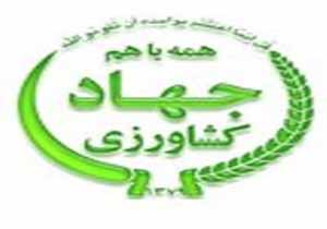 بخش کشاورزی پشتوانه توسعه روستاها