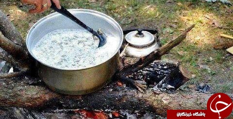 عکس هایی که بوی امید و زندگی می دهند ( قسمت 2 )