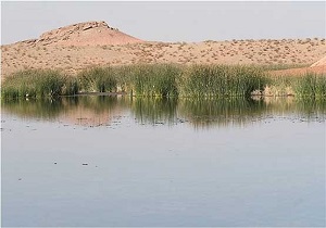 دستگیری متخلفان محیط زیست در استان قم