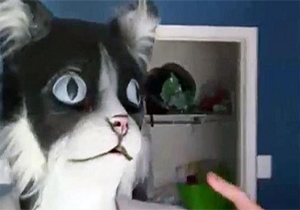 گربه‌ها چگونه از ماسک ترسیدند؟ + فیلم