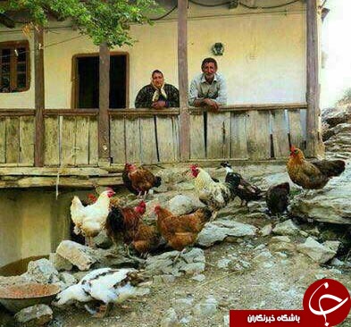 بوی زندگی در این عکسای زنده (قسمت سوم )