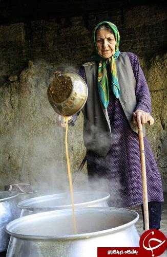 بوی زندگی در این عکسای زنده (قسمت سوم )
