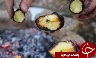 بوی زندگی در این عکسای زنده (قسمت سوم )