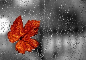 بارش 25 میلی متری باران در قم