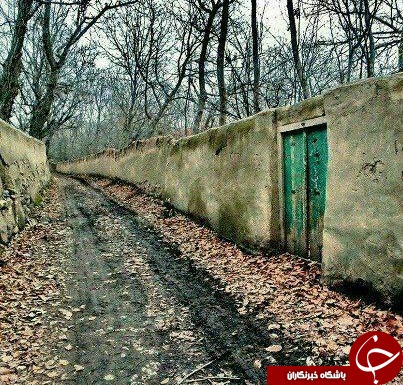 عکس هایی که بوی زندگی می دهند (قسمت پنجم )
