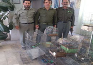 دستگیری باند سهره گیری در "اشترانکوه"