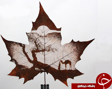 حکاکی روی برگ درختان+عکس